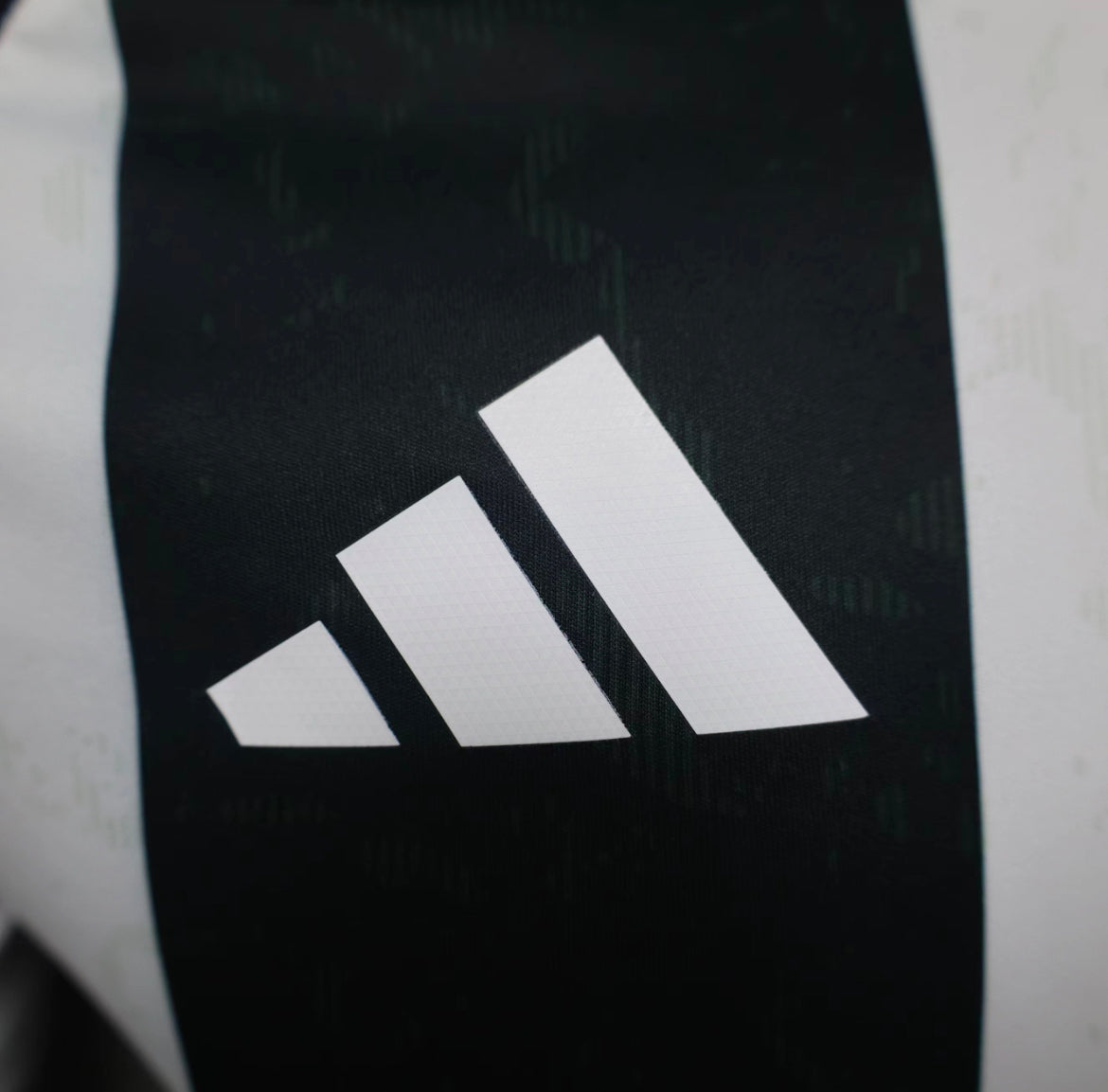 Juventus Home Jersey 2024/25
